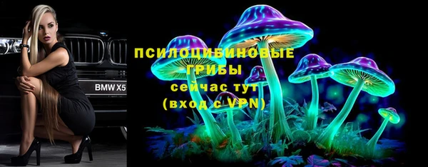 ALPHA PVP Кодинск