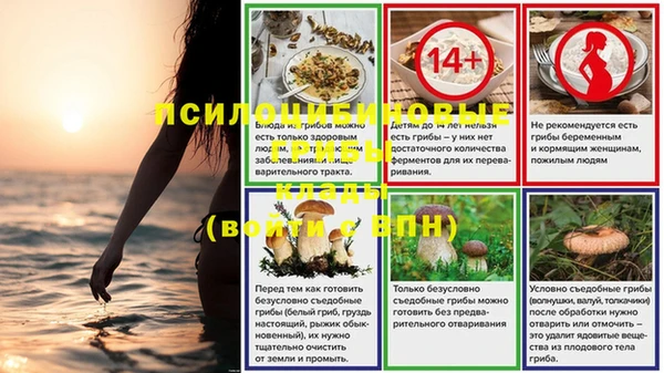 МДПВ Корсаков
