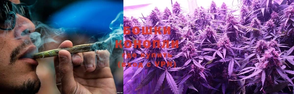 PSILOCYBIN Краснослободск