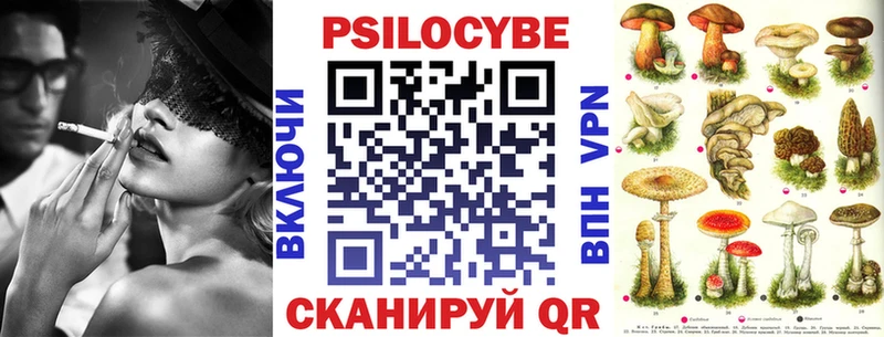 Псилоцибиновые грибы Cubensis  kraken tor  Конаково 