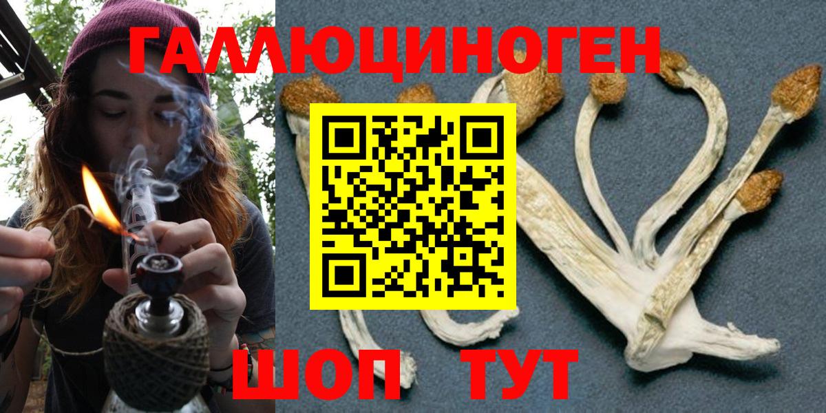 Псилоцибиновые грибы Psilocybe Конаково