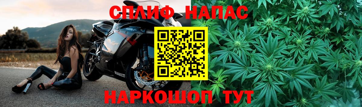 Бошки Шишки сатива Конаково